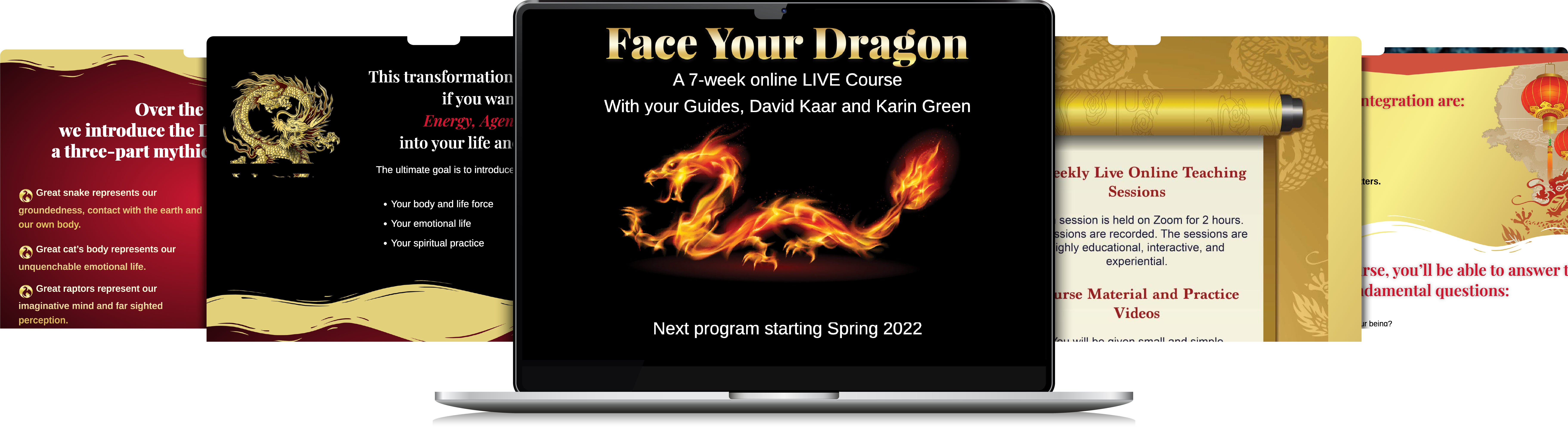 Face Your Dragon Screens